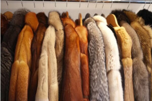 Furry_coats-300x200 Halal Fashion: The Growing Demand for Certified Leather and Fur Products