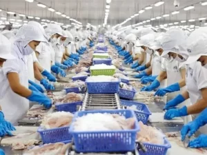 halal-market-300x225 Vietnam Pursues Strategic Entry into Global Halal Export Markets