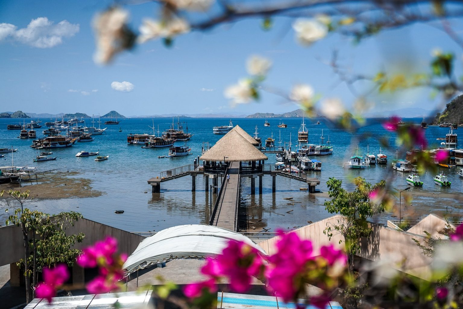 labuan-bajo-flowers-pier-1536x1024-1 Future Predictions of Halal Tourism in Indonesia: Comprehensive Analysis of Opportunities and Challenges in the Islamic Tourism Industry