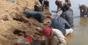 1753978145525-300x156 Euphrates Gold Rush: Hope and Reality in Syria's Raqqa