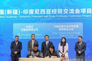 51.2-300x200 Indonesia and Xinjiang Strengthen Economic Partnership with Focus on Halal Industry